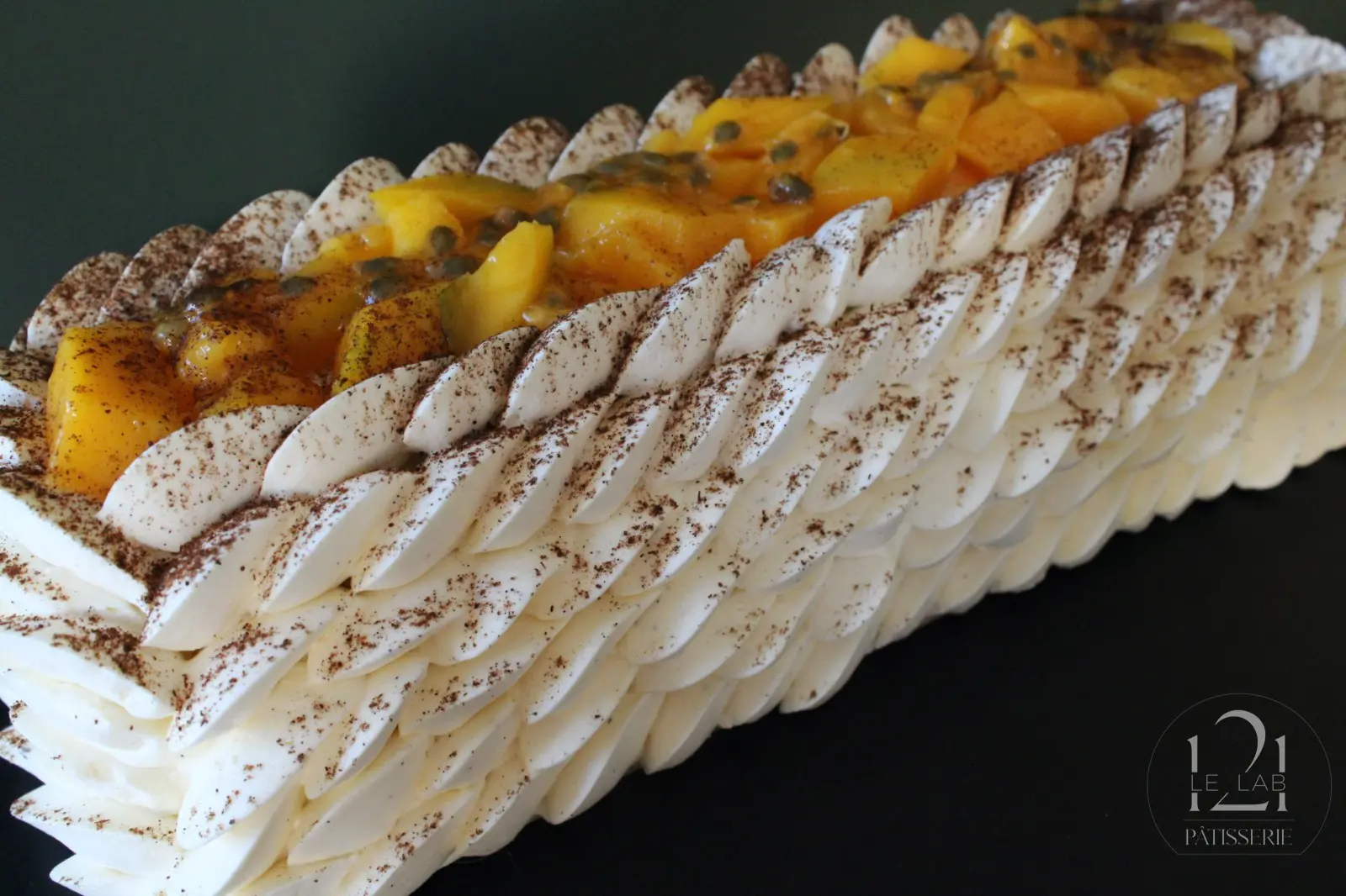 buche-exotique-fetes-de-noel-LELAB121-fr-patisserie-bordeaux