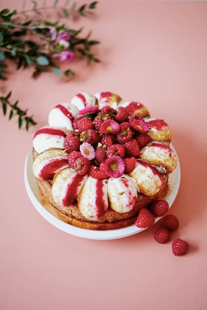 dacquoise-pistache-framboise-lelab121