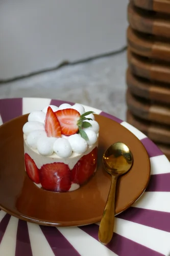 fraisier-lelab121-9ruebouquiere-bordeaux